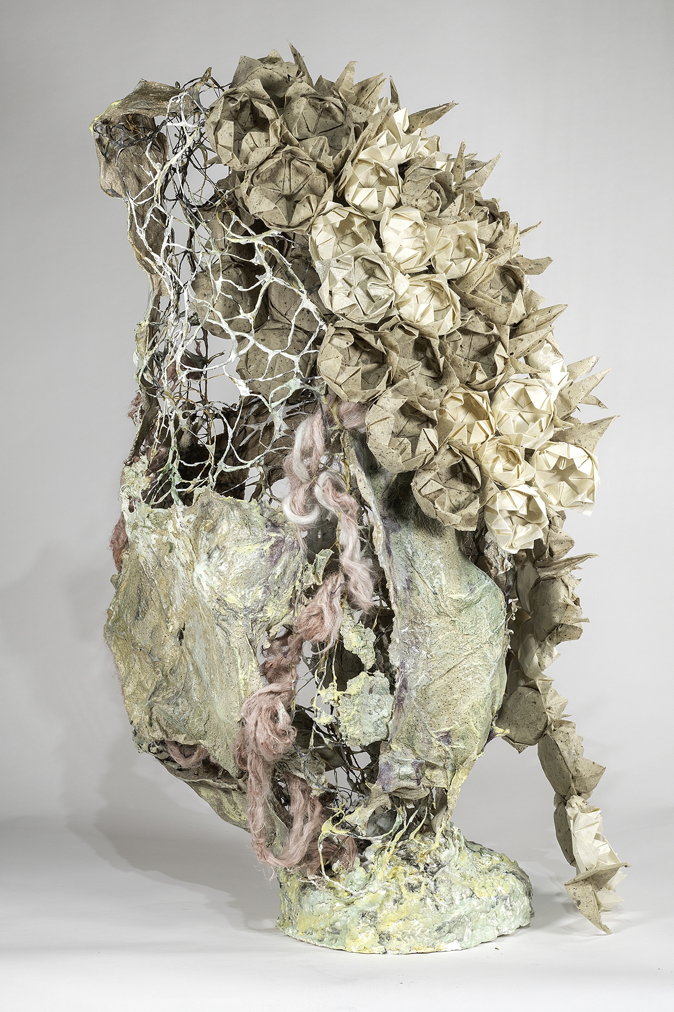 Click here to view Lotus Nest by Robin Jourdan