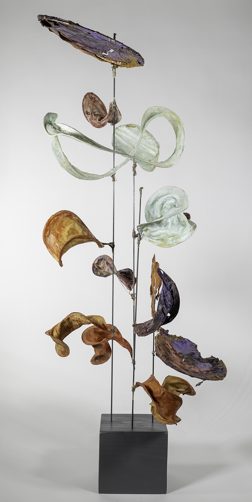 Click here to view If Peace Grew on Trees by Robin Jourdan