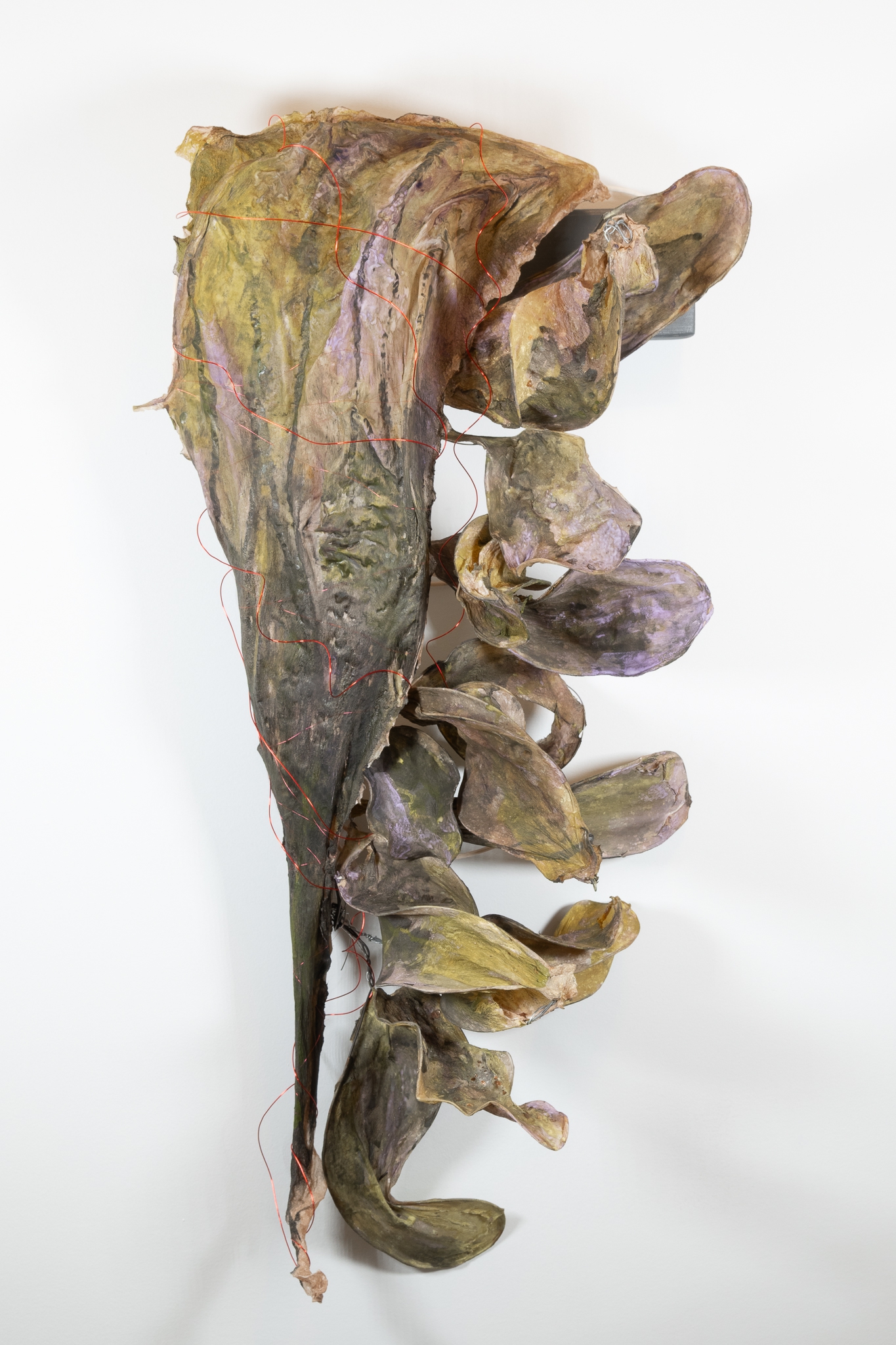 Click here to view Blush Nine Eight by Robin Jourdan