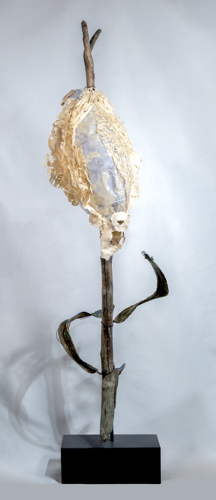 Click here to view She Persists by Robin Jourdan