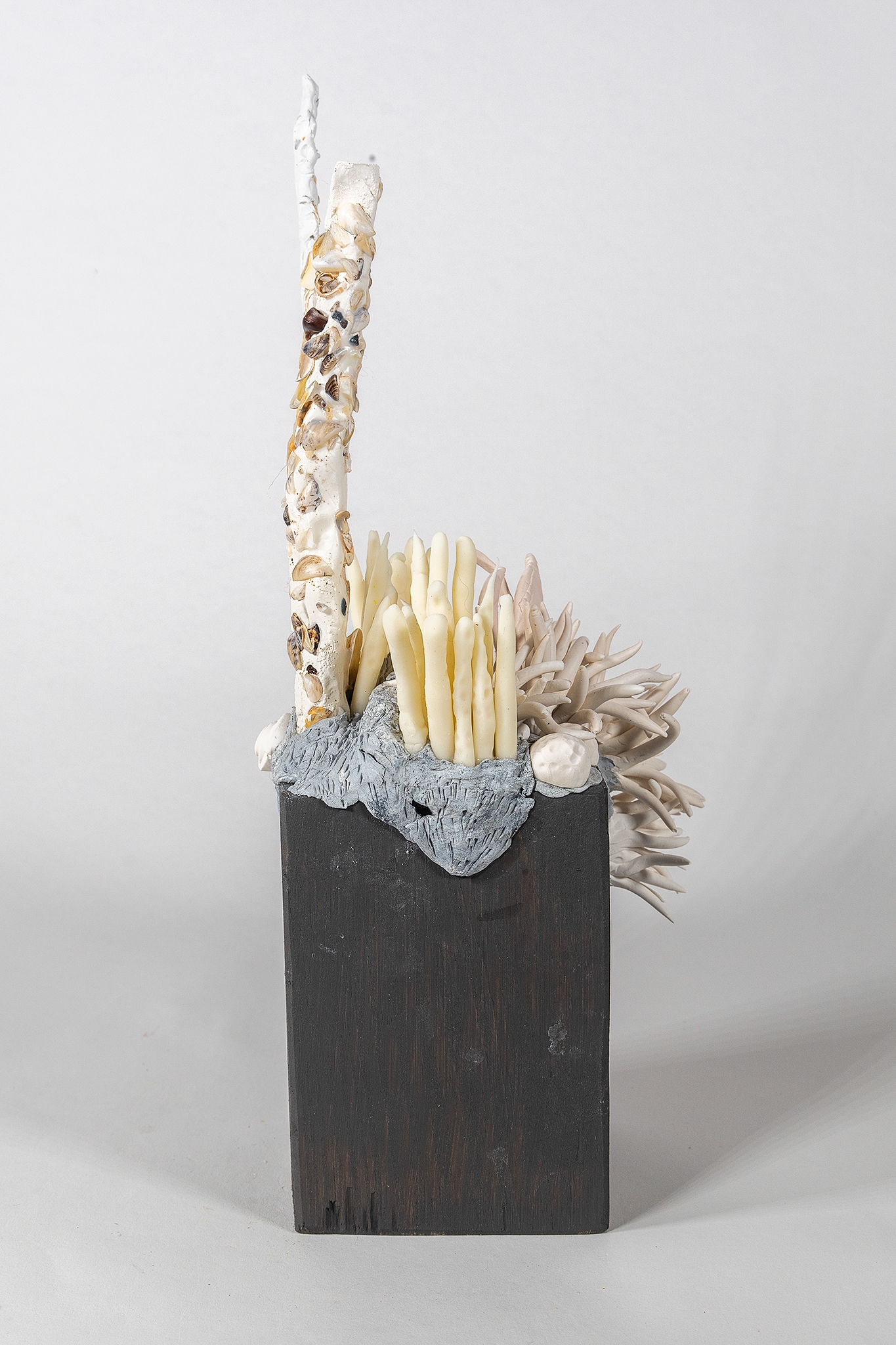 Click here to view Zum Zum Zebra by Robin Jourdan
