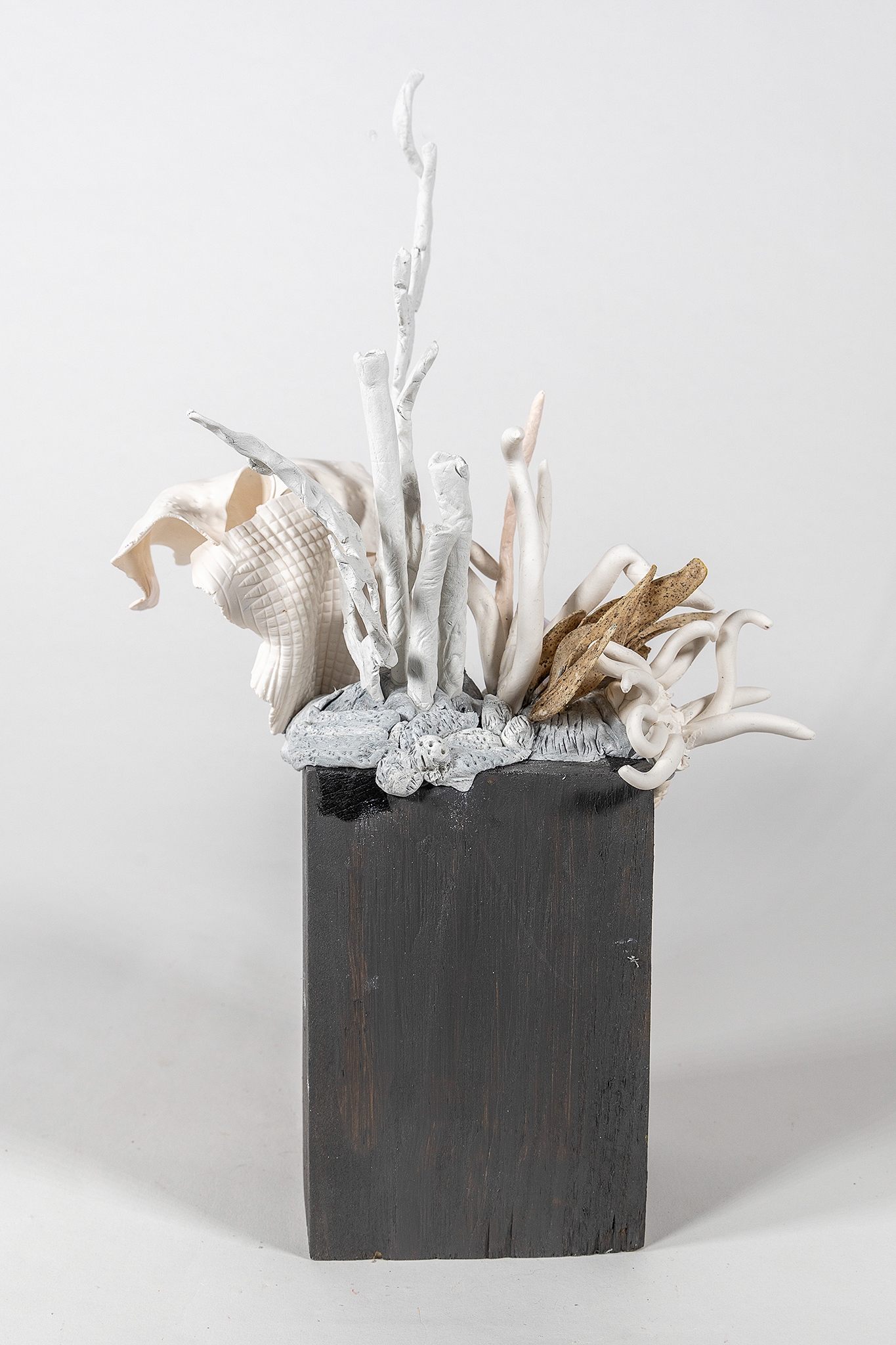 Click here to view Coral It Be by Robin Jourdan