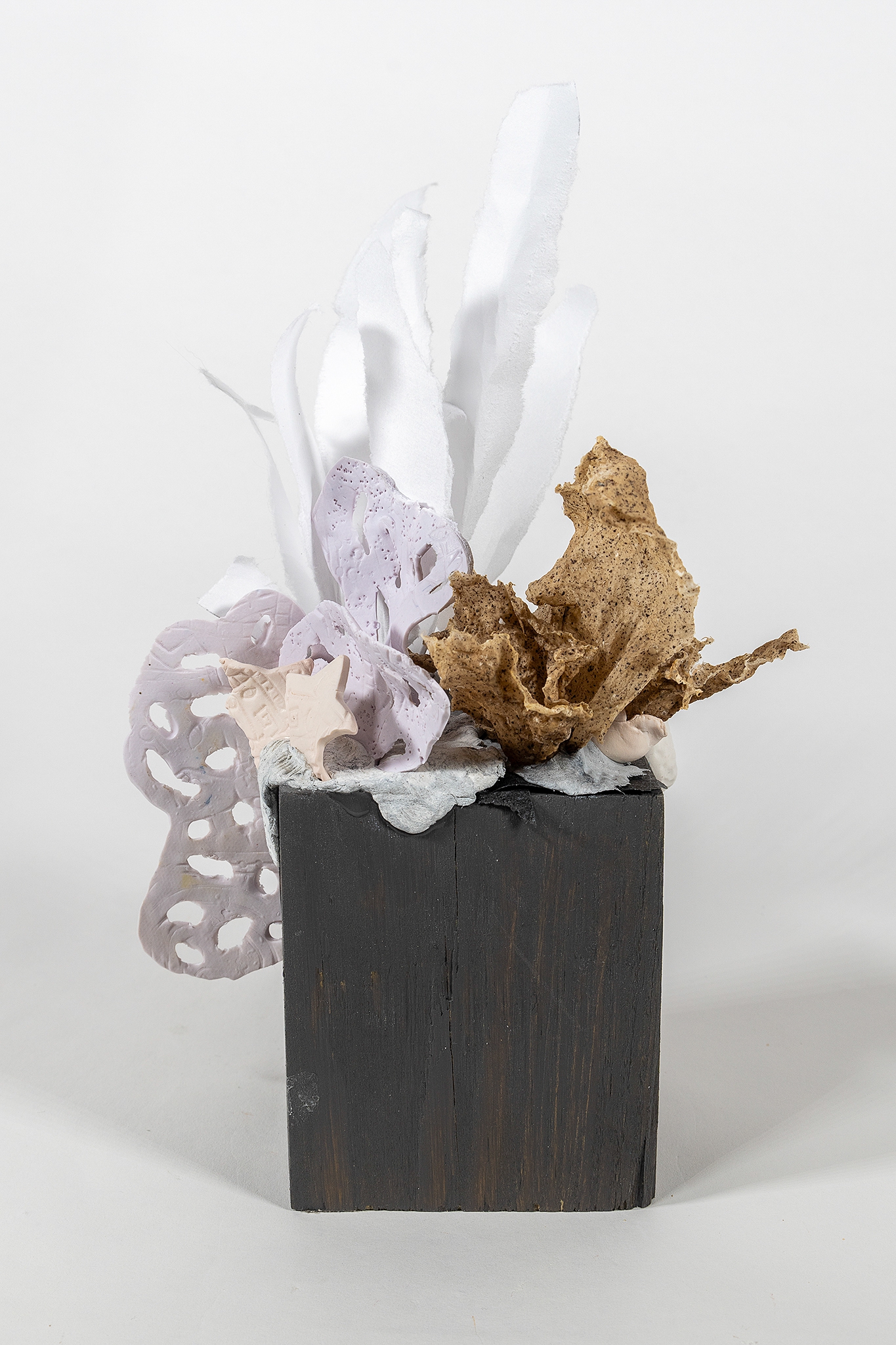Click here to view Grasses 1 by Robin Jourdan