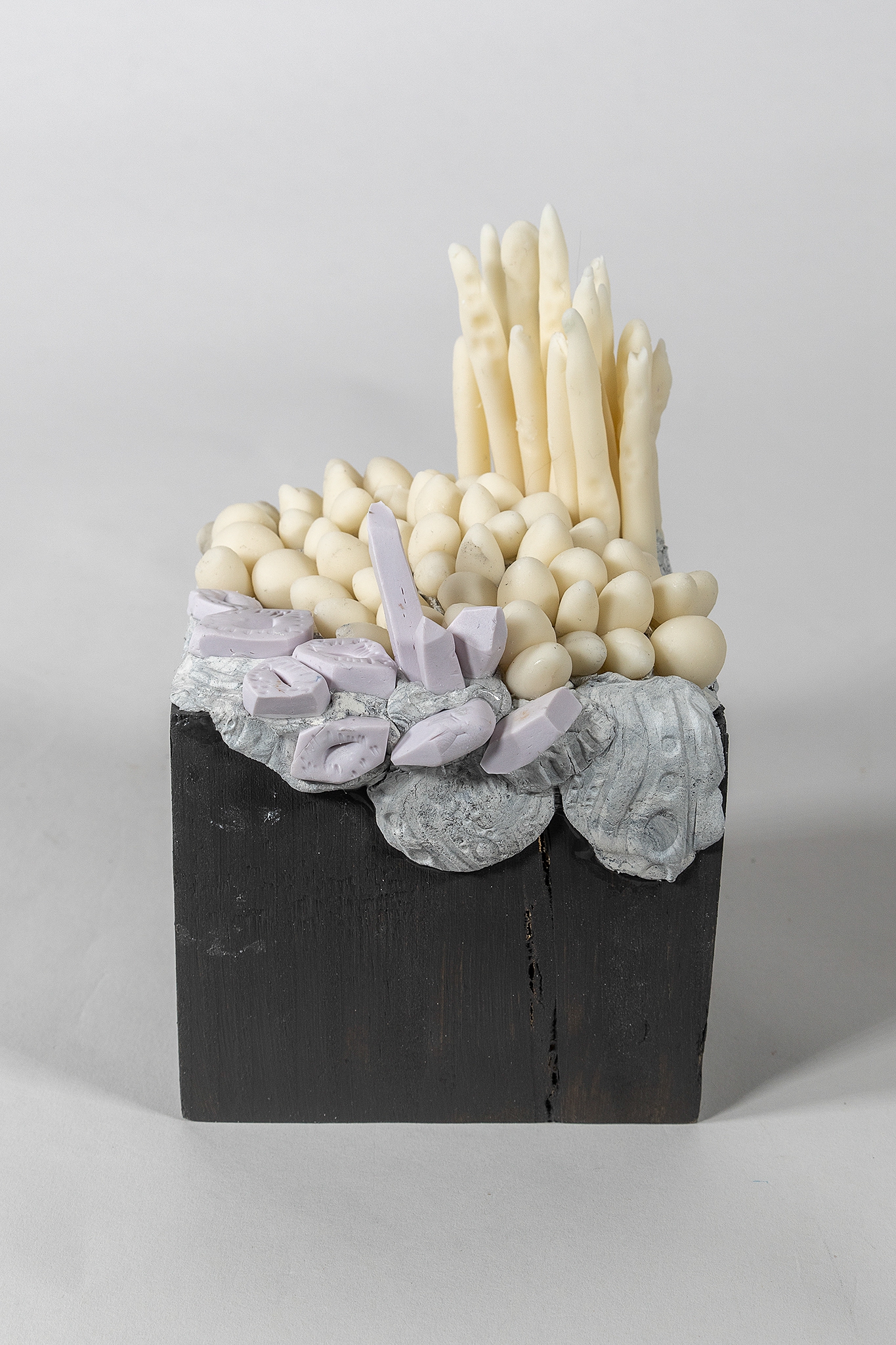 Click here to view Caviar Nursery by Robin Jourdan