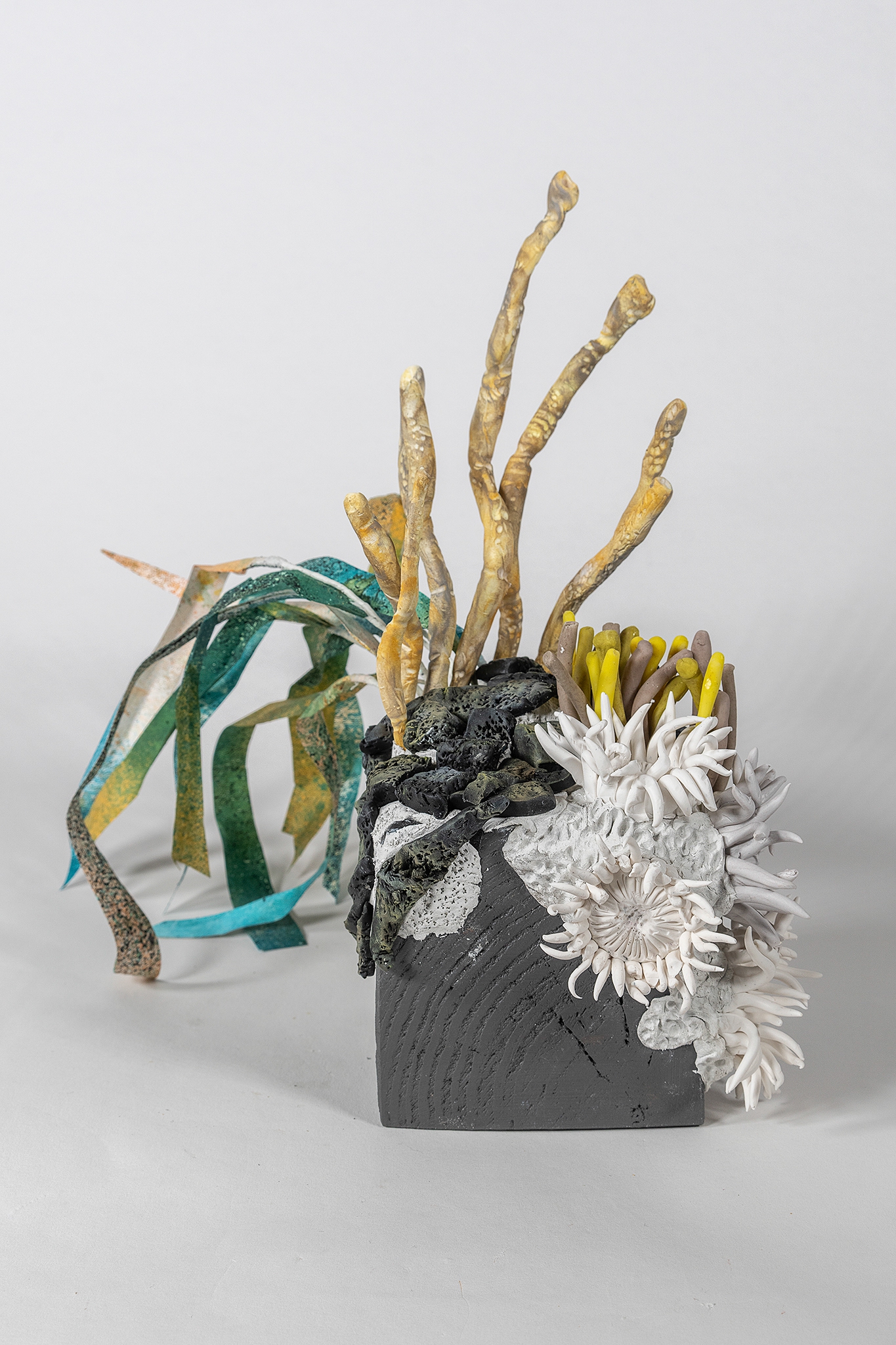 Click here to view Limno 1 by Robin Jourdan